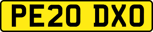 PE20DXO