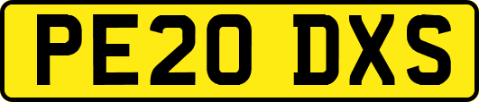 PE20DXS