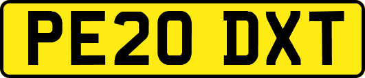 PE20DXT