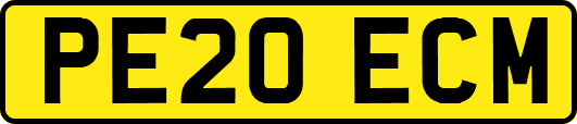 PE20ECM