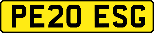 PE20ESG