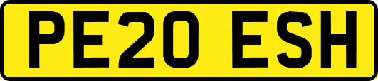 PE20ESH