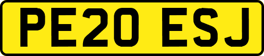 PE20ESJ