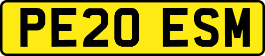 PE20ESM