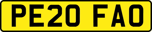 PE20FAO