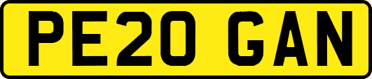 PE20GAN