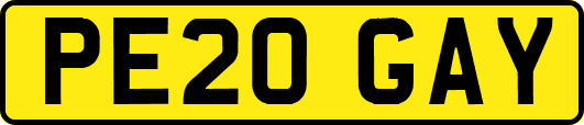 PE20GAY