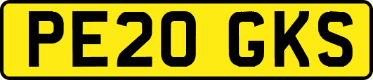 PE20GKS