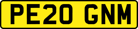 PE20GNM