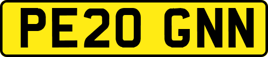 PE20GNN