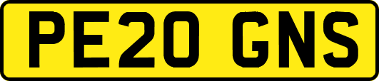 PE20GNS