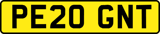 PE20GNT