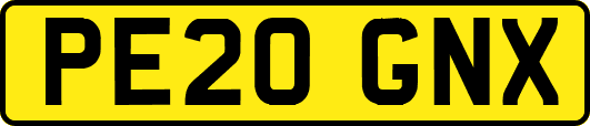 PE20GNX