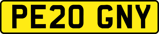 PE20GNY