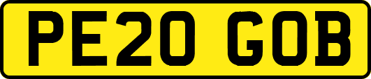 PE20GOB