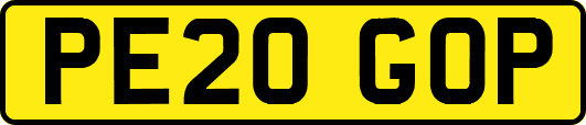 PE20GOP