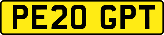 PE20GPT