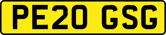 PE20GSG