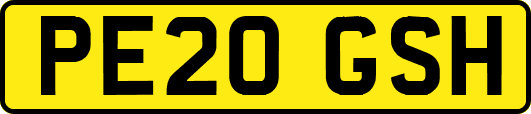PE20GSH