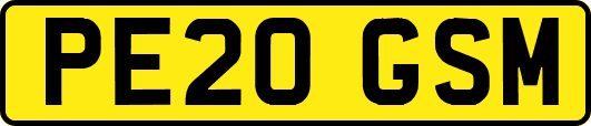PE20GSM