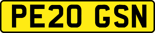 PE20GSN