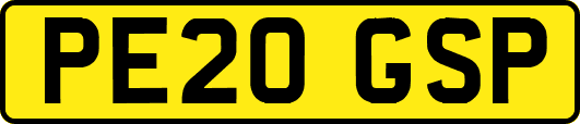 PE20GSP