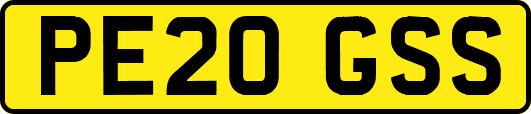 PE20GSS