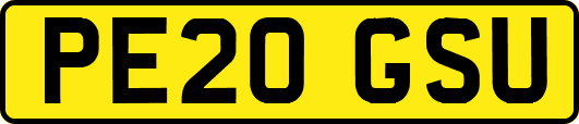 PE20GSU