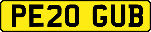 PE20GUB