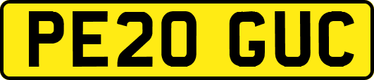 PE20GUC