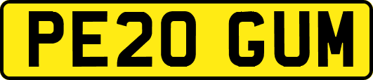 PE20GUM