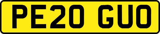 PE20GUO