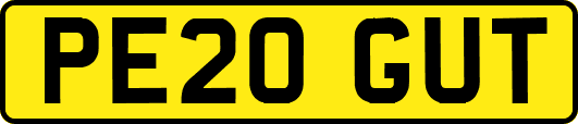 PE20GUT