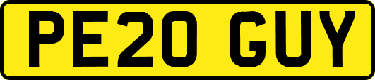 PE20GUY