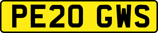 PE20GWS