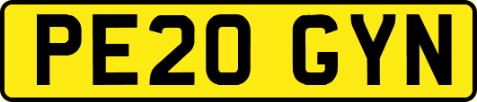 PE20GYN