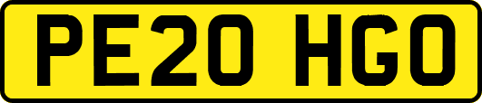 PE20HGO