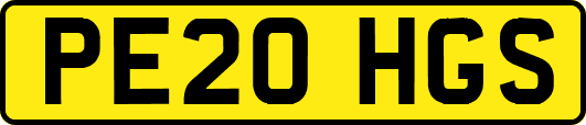 PE20HGS