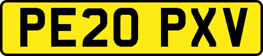 PE20PXV