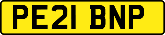 PE21BNP