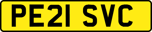 PE21SVC
