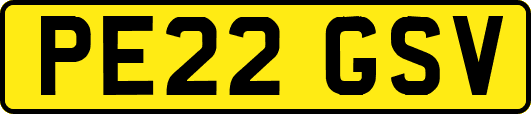 PE22GSV