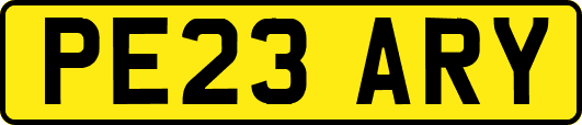 PE23ARY