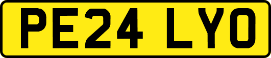 PE24LYO