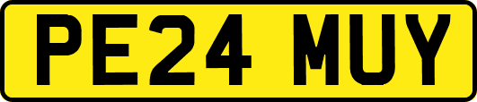 PE24MUY