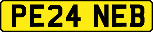 PE24NEB