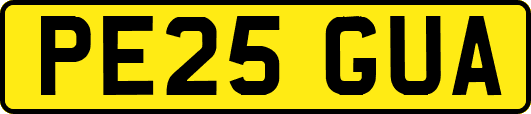 PE25GUA