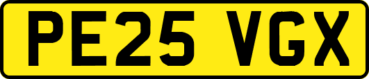 PE25VGX