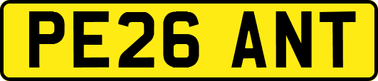 PE26ANT