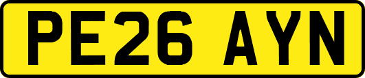 PE26AYN
